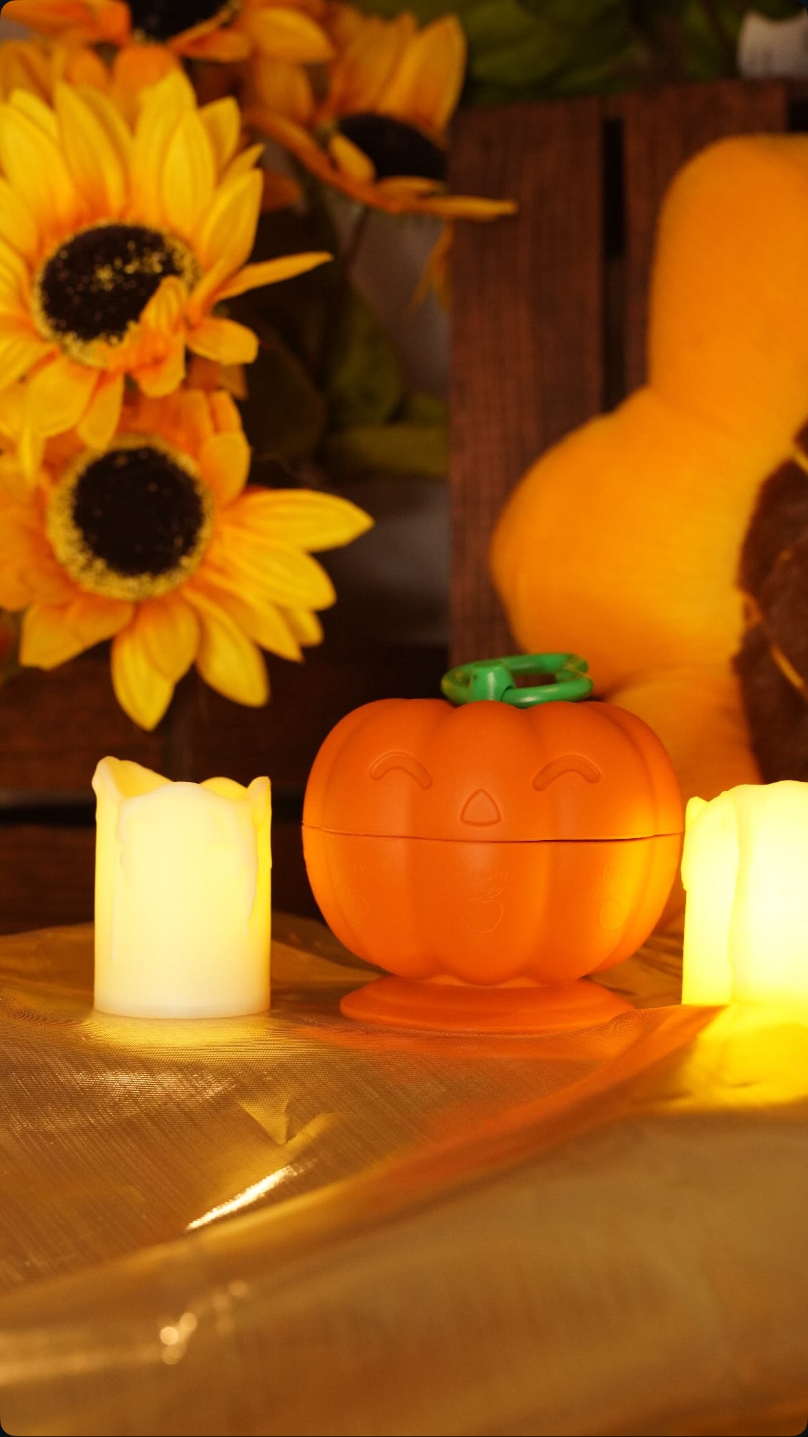 Jack-o'-Lantern Sensory Toy and Paci/Toy Clip/Holder!