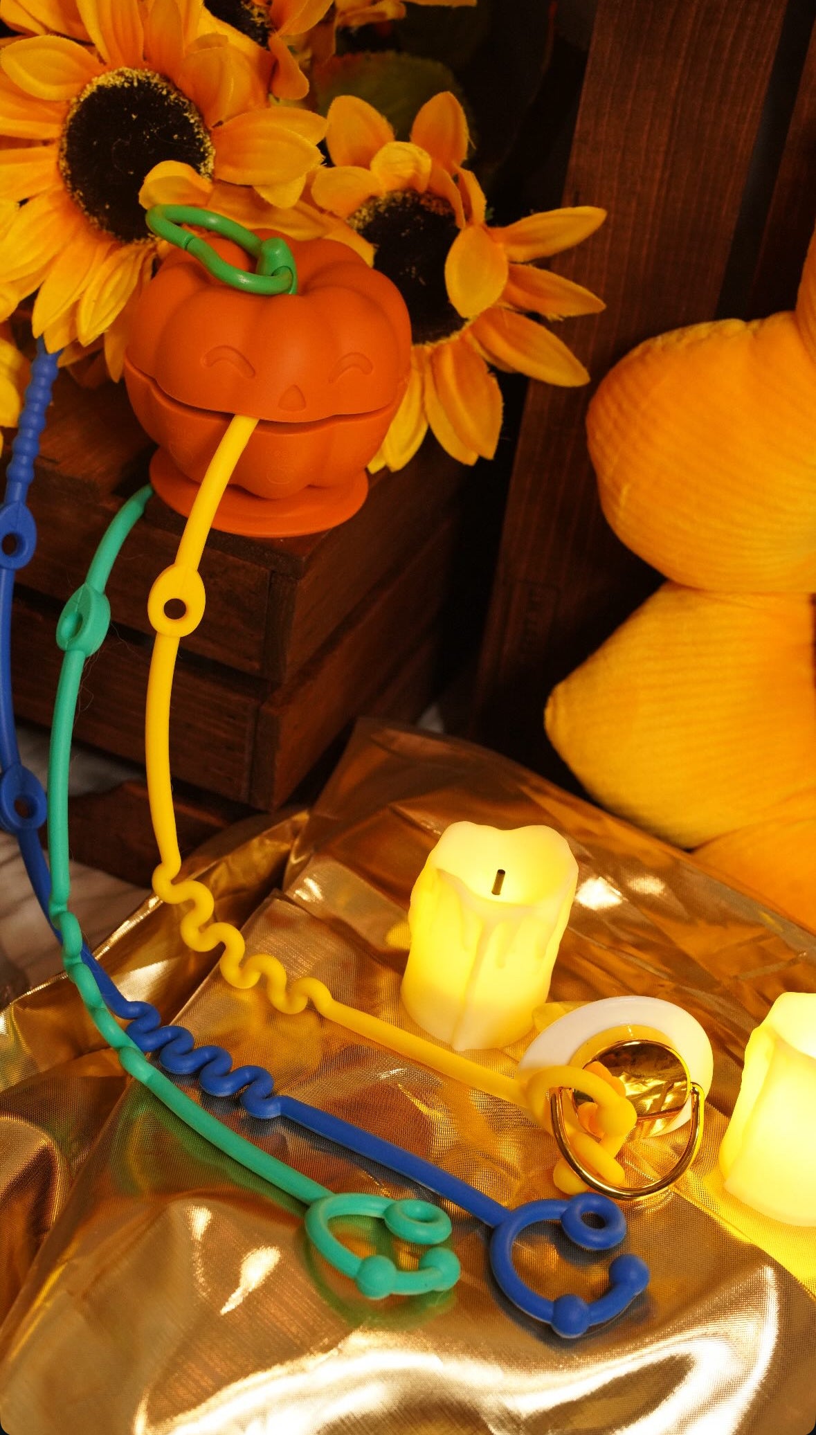 Jack-o'-Lantern Sensory Toy and Paci/Toy Clip/Holder!
