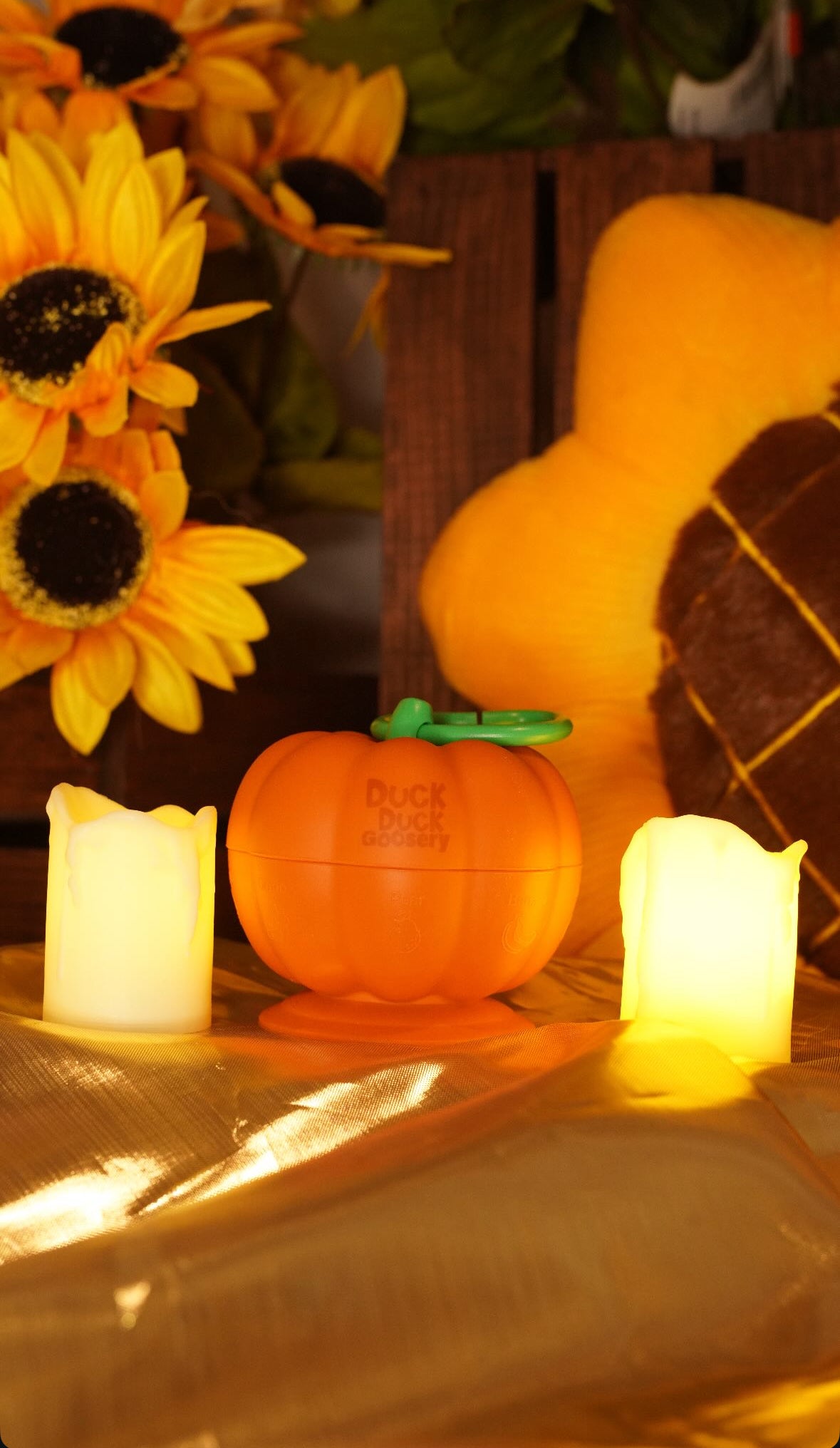 Jack-o'-Lantern Sensory Toy and Paci/Toy Clip/Holder!
