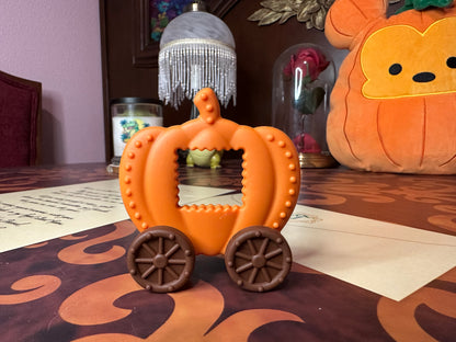 Autumn Two Piece Silicone Sensory Toy Set!