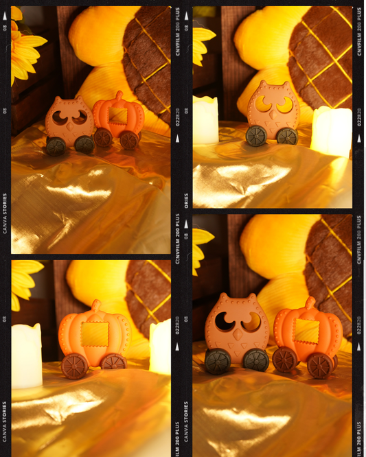 Autumn Two Piece Silicone Sensory Toy Set!