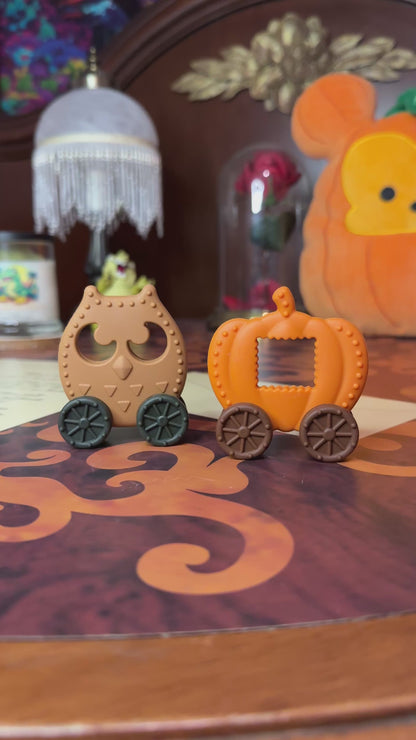 Autumn Two Piece Silicone Sensory Toy Set!